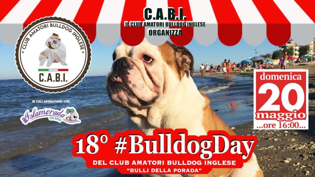 18° Bulldog day a Fano il 20 maggio 2018 presso Islamorada DOG BEACH. Organizzato da CABI