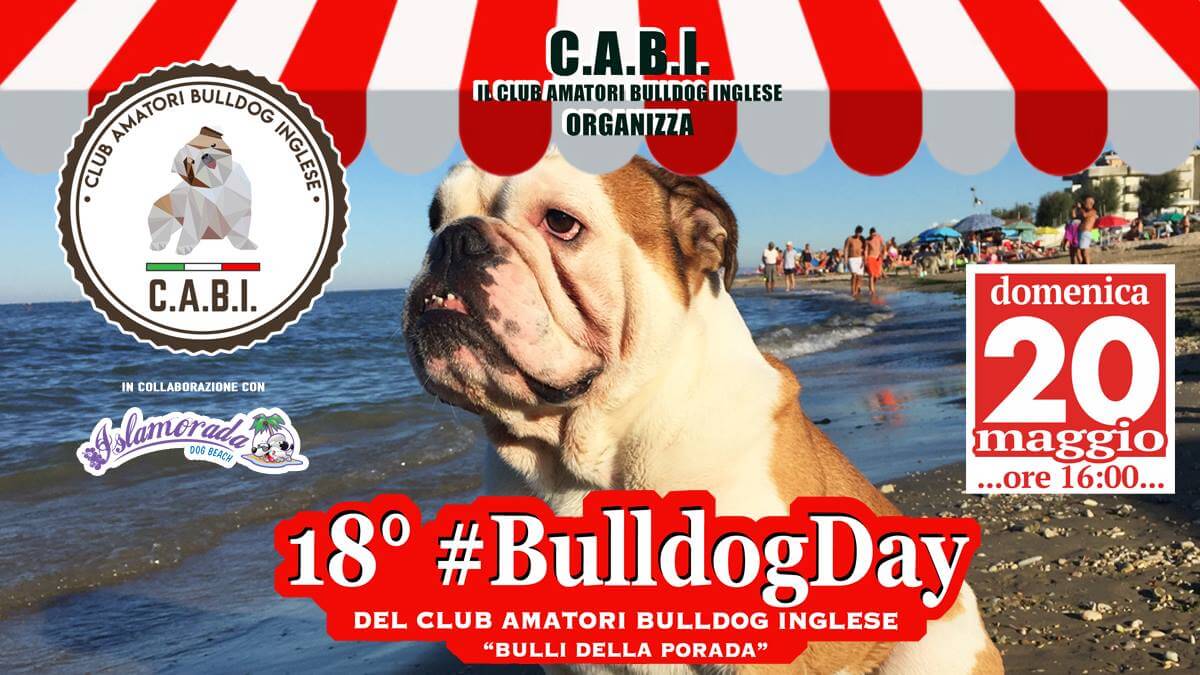 18-bulldog-day-Fano-20-maggio-2018 18° Bulldog day a Fano il 20 maggio 2018 presso Islamorada DOG BEACH. Organizzato da CABI