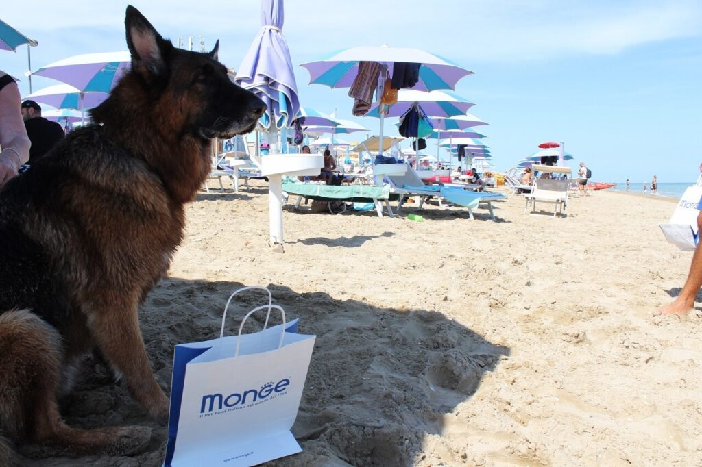 Pulizia e igiene per il cane in spiaggia